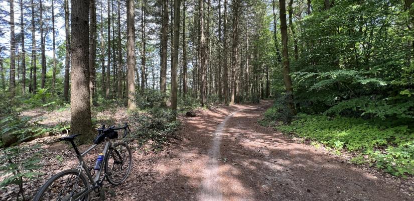 komoot trail view