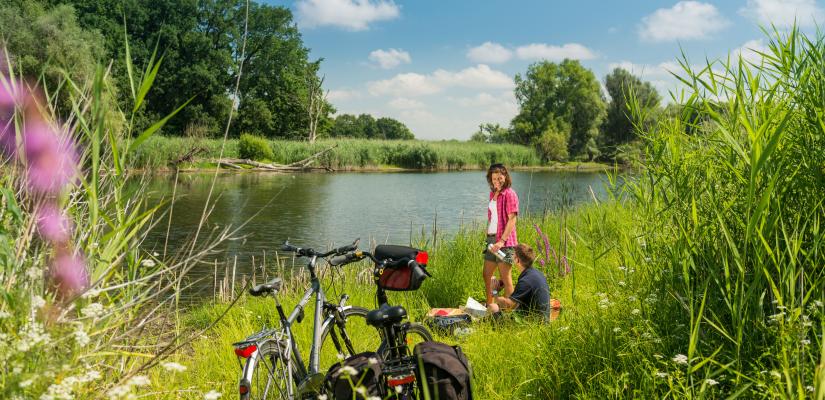Elberadweg Saksen Anhalt