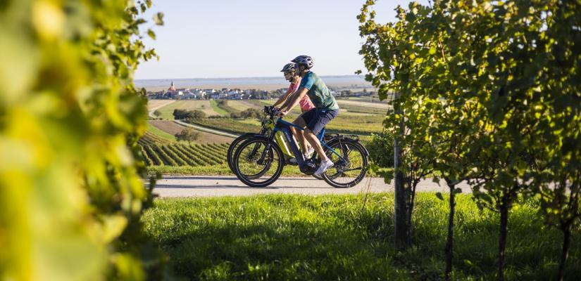 Twee fietsers op pad tussen de wijngaarden in het burgenland