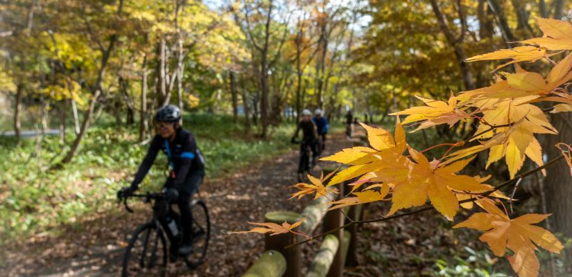 fietsen in de herfst