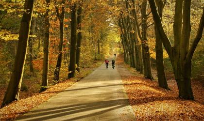 fietsen in de herfst