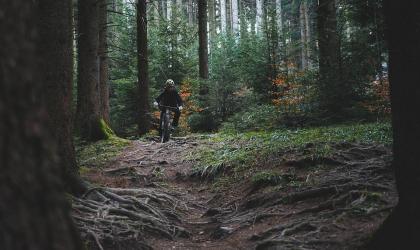 mooiste mountainbikeroutes Duitsland