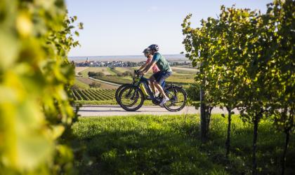 Twee fietsers op pad tussen de wijngaarden in het burgenland