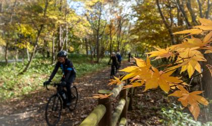 fietsen in de herfst
